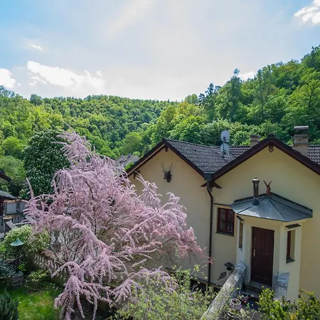 게스트하우스 U Jelena 3*